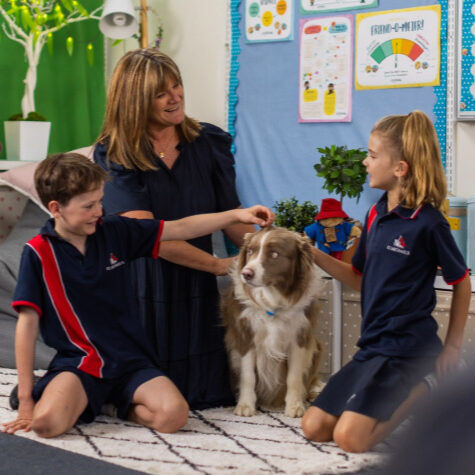 St Michael's Lutheran School, Wellbeing Support Dog